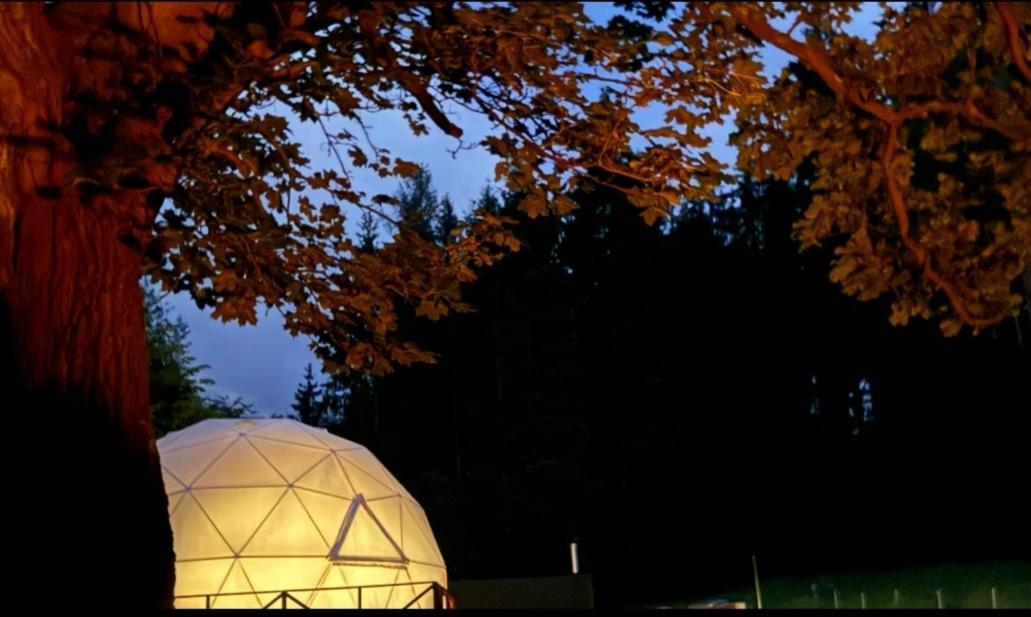 Forrest Glamp Hotell Mieroszow Exteriör bild
