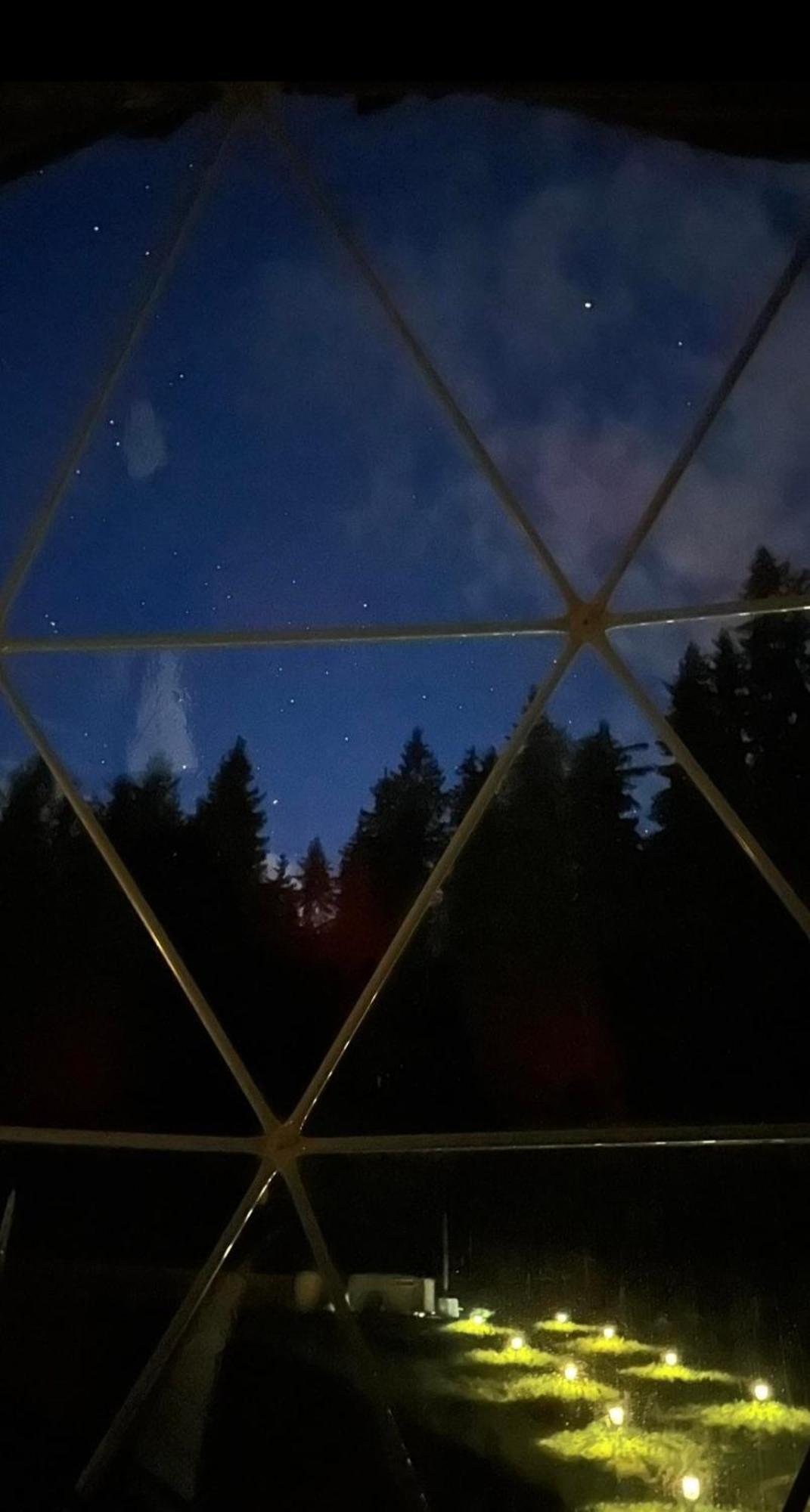Forrest Glamp Hotell Mieroszow Exteriör bild