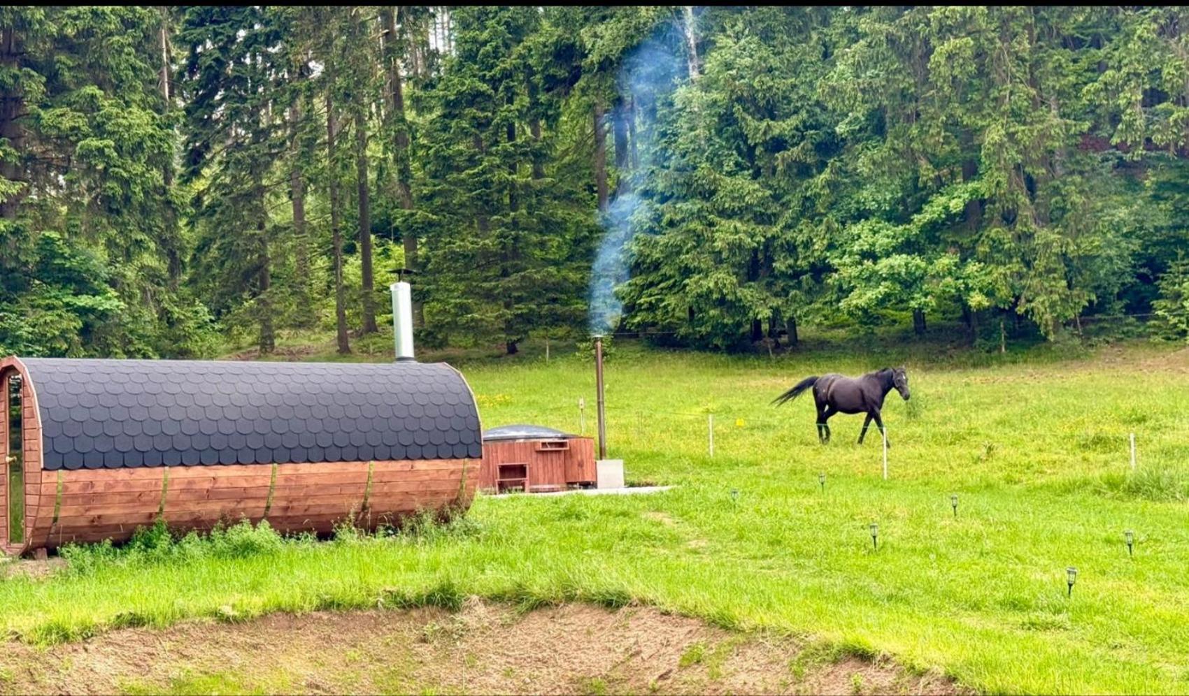 Forrest Glamp Hotell Mieroszow Exteriör bild