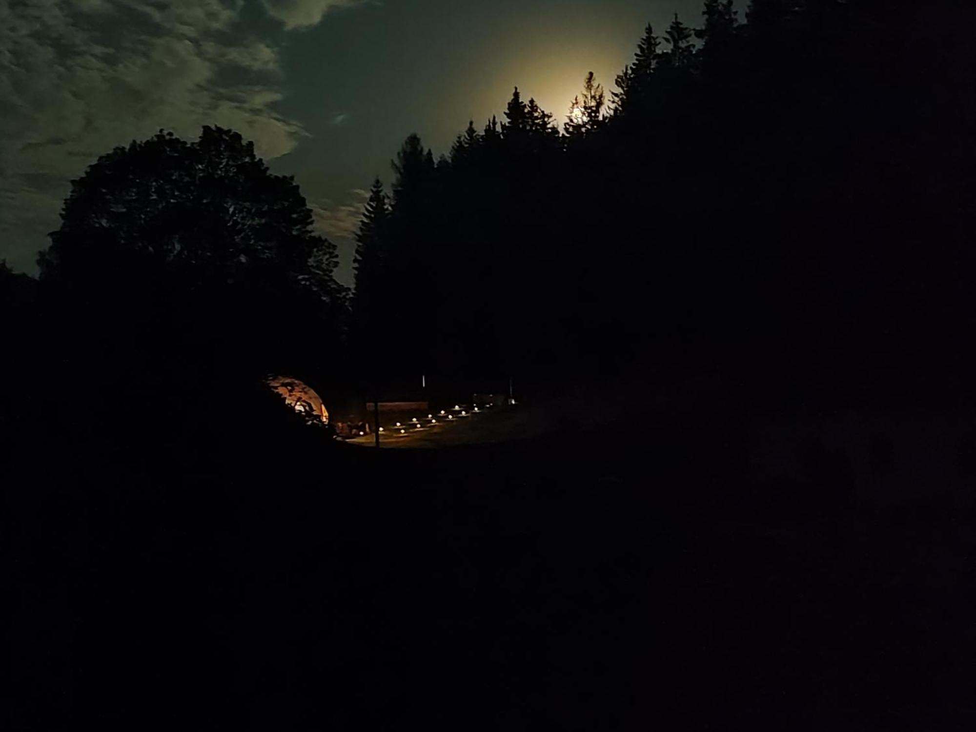 Forrest Glamp Hotell Mieroszow Exteriör bild