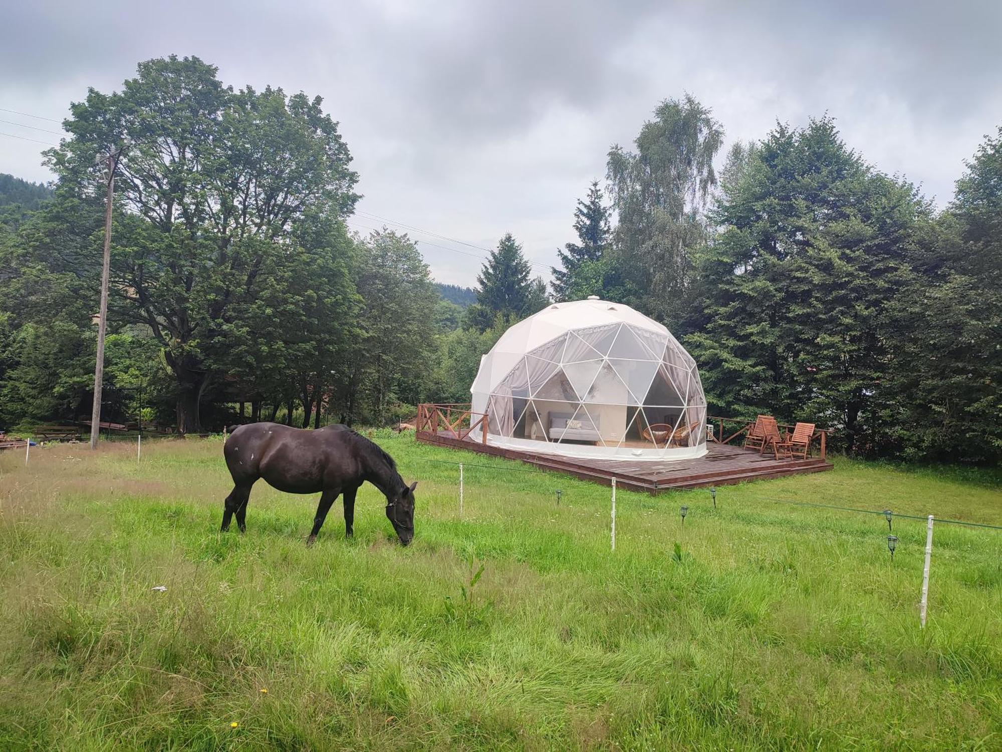 Forrest Glamp Hotell Mieroszow Exteriör bild